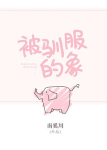 被馴服的象